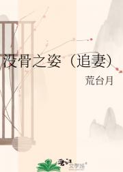 没骨之姿（追妻）