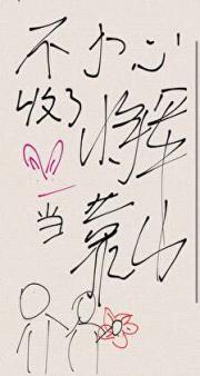 不小心收了将军当靠山