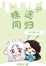 殊途同归（斗破炎尘）