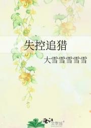 失控追猎