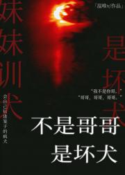 不是哥哥是坏犬[伪兄妹]