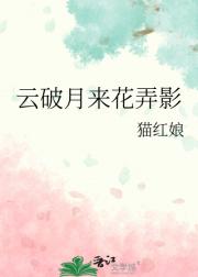 云破月来花弄影