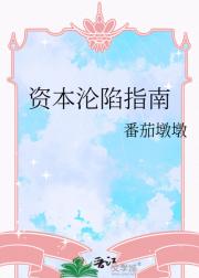 资本沦陷指南