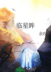 临星眸