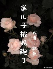 我儿子被拐跑了