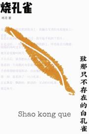 烧孔雀