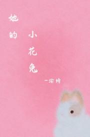 她的小黄兔