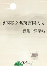 以闪亮之名落言同人文