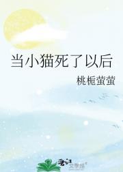 当小猫死了以后