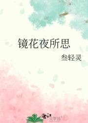 镜花夜所思