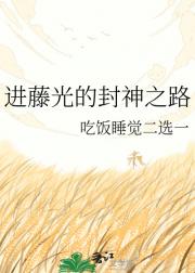 进藤光的封神之路