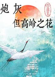 炮灰，但高岭之花[快穿]