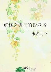 红楼之进击的政老爷
