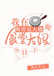 在斯塔克大楼做食堂大妈