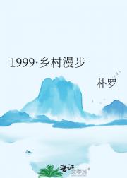 世纪末乡村漫游
