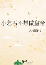 小乞丐不想做皇帝