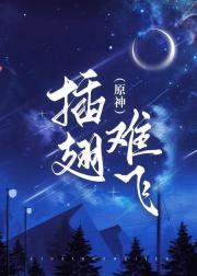 （原神）插翅难飞