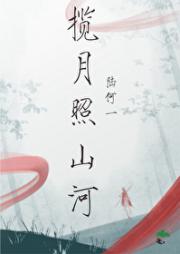 揽月