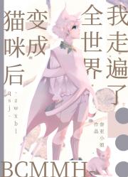 变成猫咪后我走遍了全世界