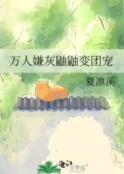 万人嫌灰鼬鼬变团宠
