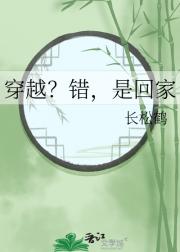 穿越？错，是回家