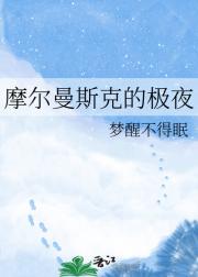 摩尔曼斯克的极夜