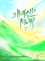 非职业陪聊