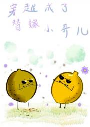 穿越成了替嫁小哥儿