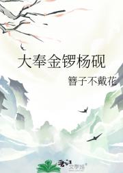 大奉金锣杨砚