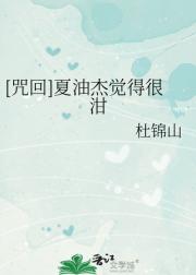 [咒回]夏油杰觉得很泔