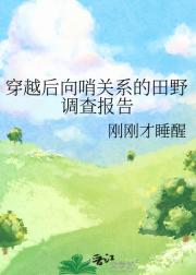 穿越后向哨关系的田野调查报告
