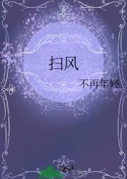 扫风