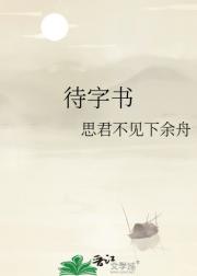 待字书
