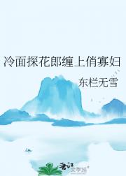 冷面探花郎缠上俏寡妇