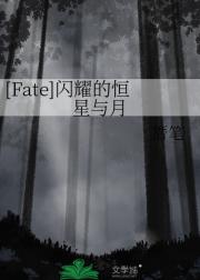 Fate/消散