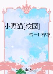小野猫[校园]