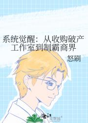 系统觉醒：从收购破产工作室到制霸商界