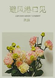 把我的账号还给我[娱乐圈]