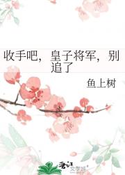 收手吧，皇子将军，别追了