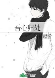 吾心归处