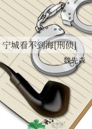 宁城看不到海[刑侦]