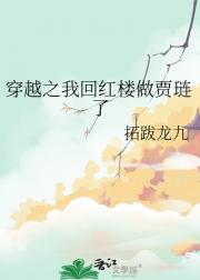 穿越之我回红楼做贾琏了