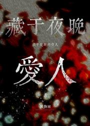 藏于夜晚的爱人