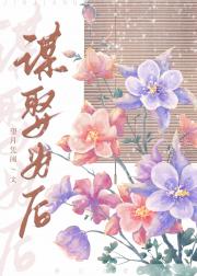 谋娶为后