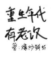 重生年代有老攻