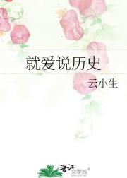 就爱说历史