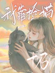 我靠捡猫日入十万