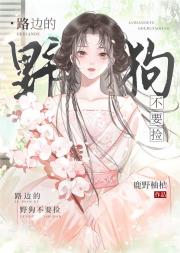路边的野狗不要捡