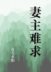 妻主难求