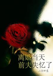 离婚当天，前夫失忆了